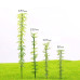 Miniature Bamboo Trees