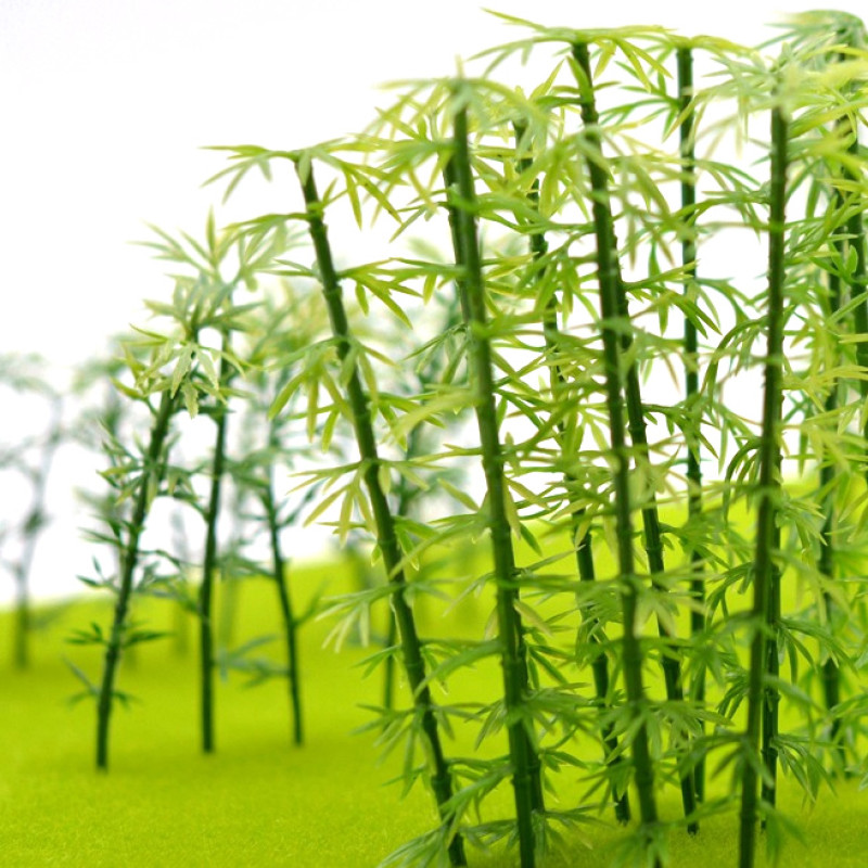 Miniature Bamboo Trees