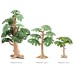 Miniature Trees for Tabletop Games