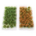 Grass Weeds for Model Gardens